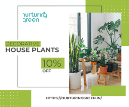 Nurturing Green-flat 10% off on first purchase