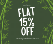 FNP Flat 15% off on lucky bamboo collection