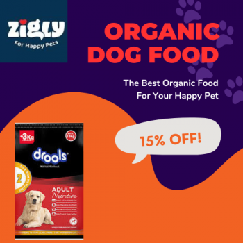 ZigLy - Drools Dog Food & Supplements: Up to 15% Off on Selected Products