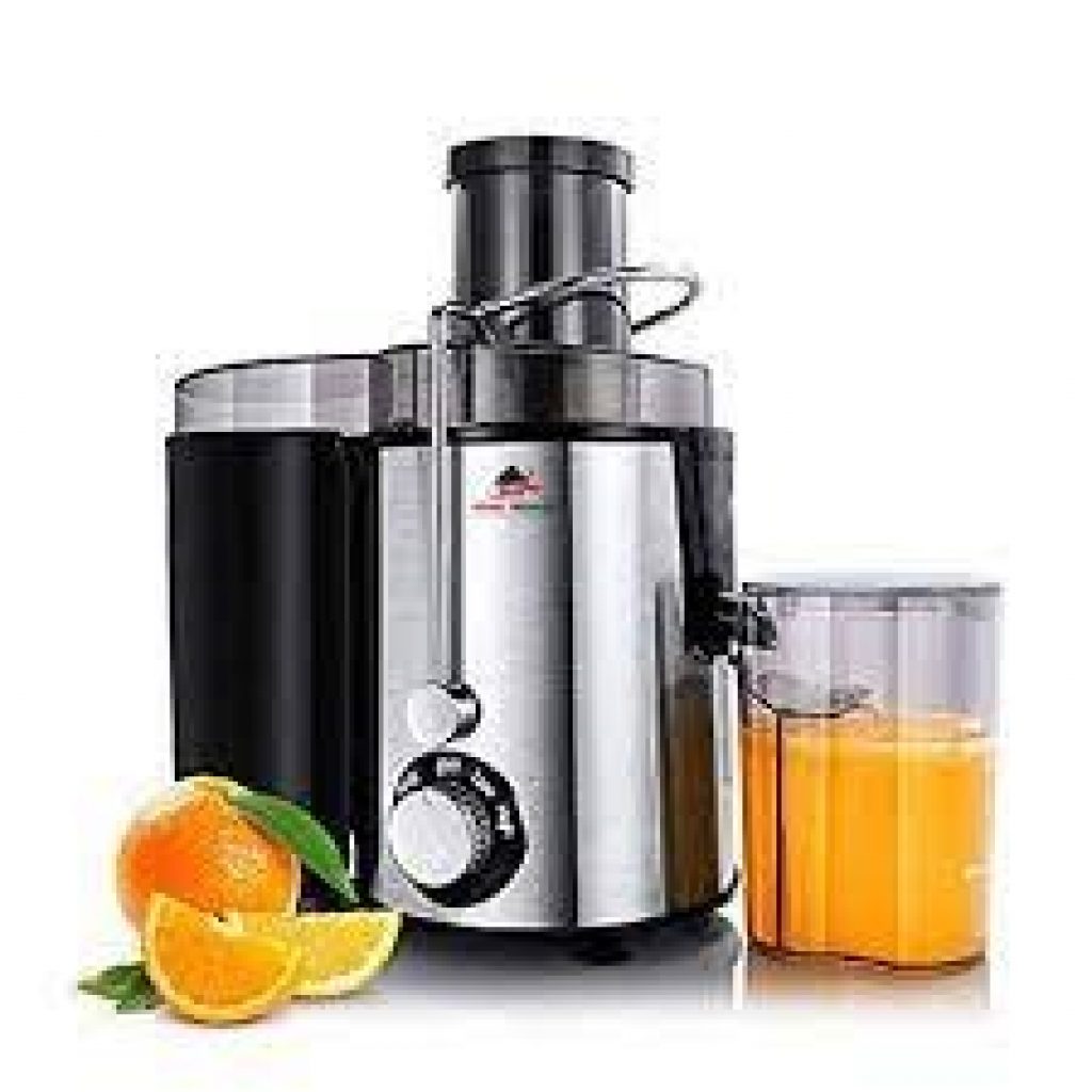 Best Fruit Juicer in India