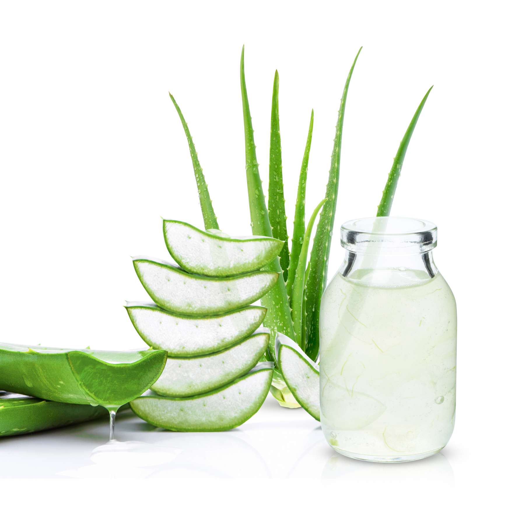 Top10 Best Aloe Vera Gel In India