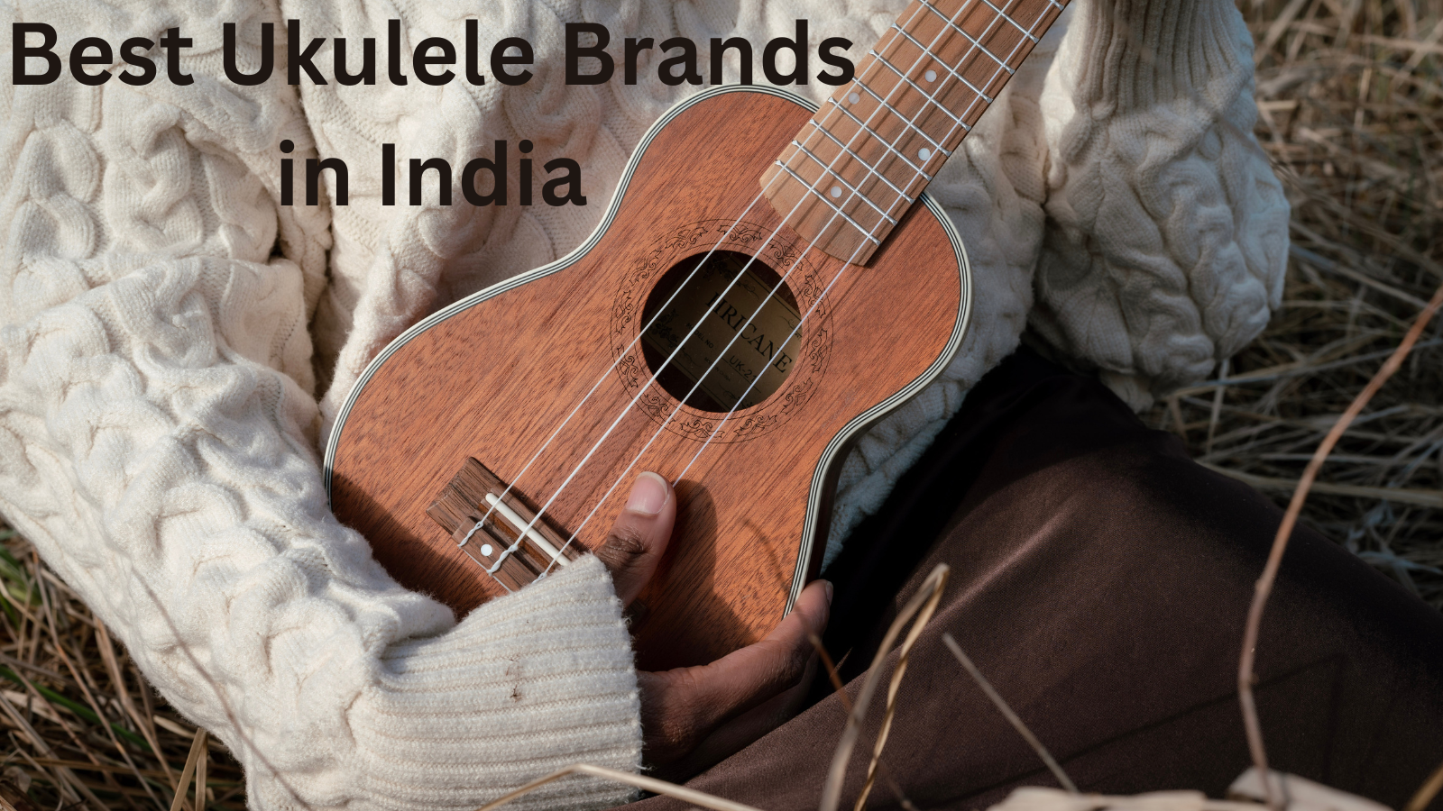 best ukulele brands in india
