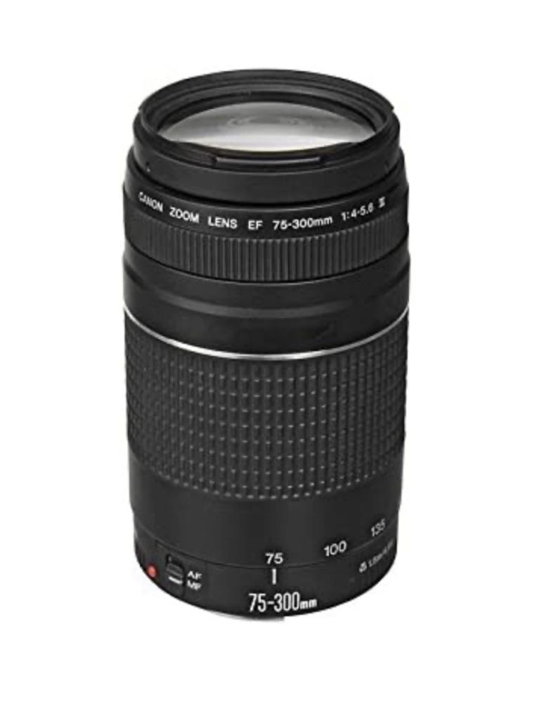 best Camera Lens in India Canon EF 50mm/1.8 STM Lens for Canon DSLR