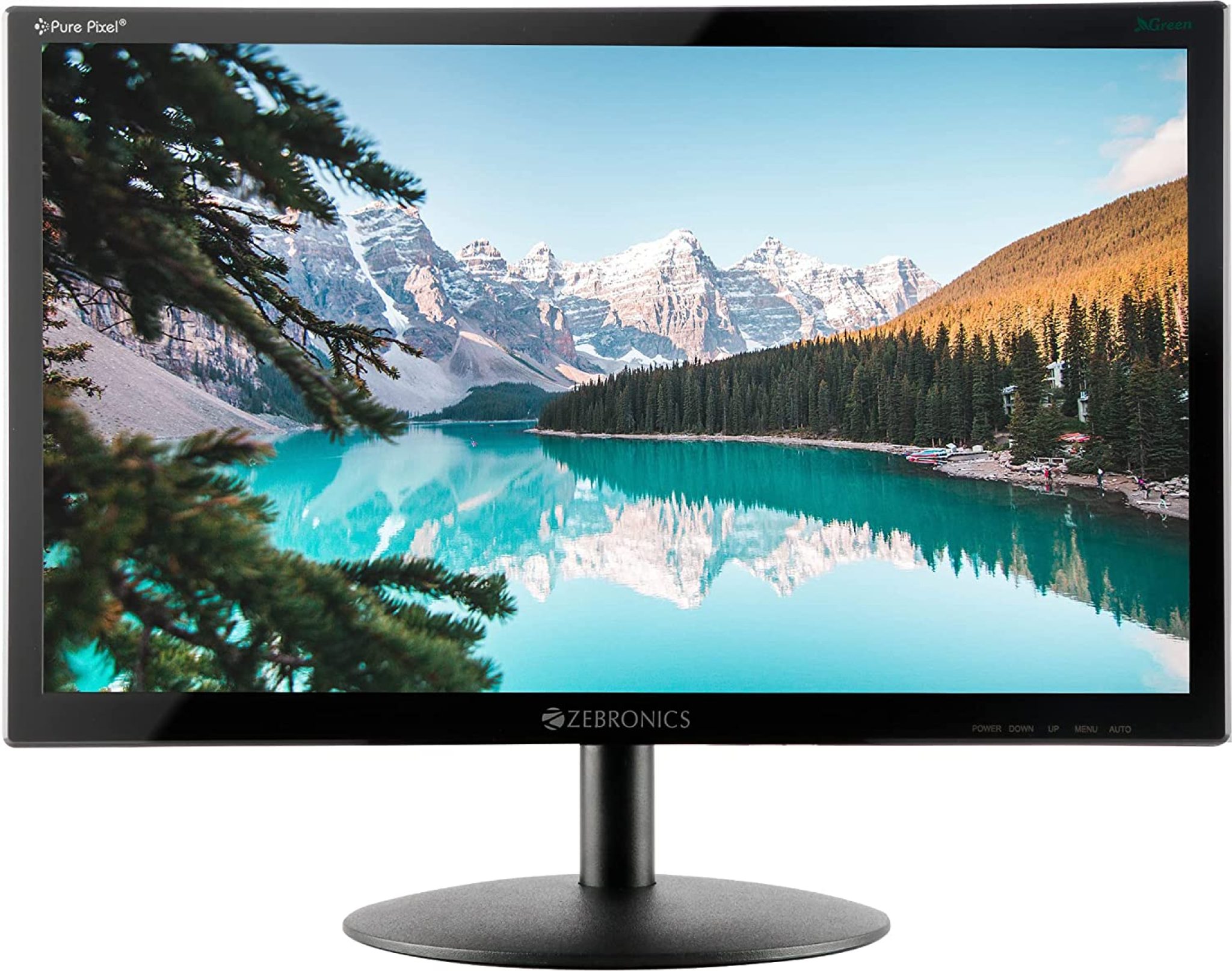 Best Top 10 Computer Monitors
