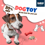 ZigLy – Zigly Promo Code l Get Up to 30% Off on Dog & Cat Toys
