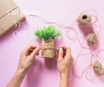 Nurturing Green-Upto 33% off on gifting plants