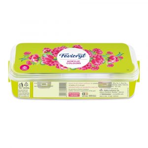 Fevicryl acrylic colours tin (10 shades) – popular affordable.