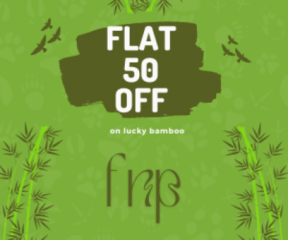 FNP Flat rs. 50 off on lucky bamboo