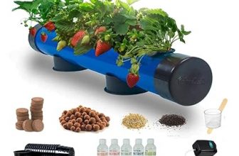 Hydroponics Kit for Home – PindPipe – 5 Plants Upto 30 % Off Coupon Code % Updated Discount List On Amazon