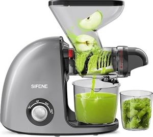 Top 10 Best-Selling Juicer Makers in India