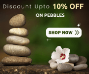 Nurserylive- Discount on Pebbles