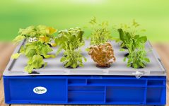 Green Live Hydroponic 12 Plant System Upto 21 % Off Coupon code & Updated Discount List On Amazon