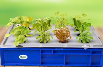 Green Live Hydroponic 12 Plant System Upto 21 % Off Coupon code & Updated Discount List On Amazon