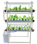 Hydroponic Kit for Home or Office Upto 27 % Off Coupon & Updated Discount List On Amazon