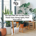 Get Upto 55% OFF On Wall Decor, Flower Vase, String Lights, Plant Pots & More