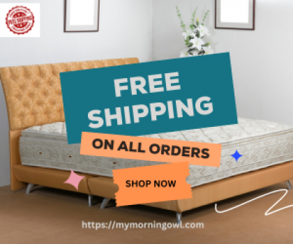 Morning owl FREE SHIPPING