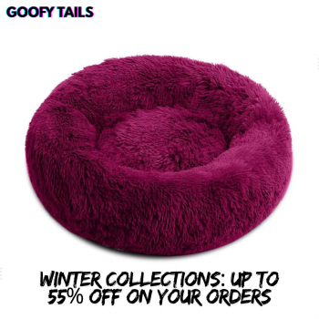 Winter Collections: Up To 55% OFF On Your Orders