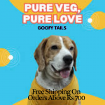 Free Shipping On Orders Above Rs 700