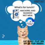Cat Deals : Flat 50% OFF On Your Orders