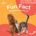 Goofy Personalize – Flat 15% OFF On Your Purchase