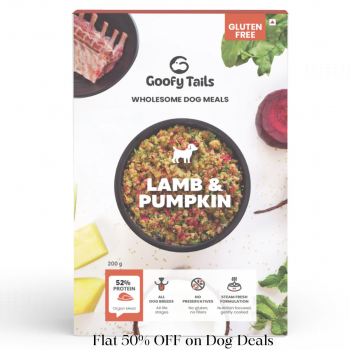 Flat 50% OFF on Dog Deals