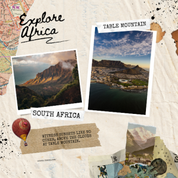 South Africa Tour Package Starting From : ₹ 199999