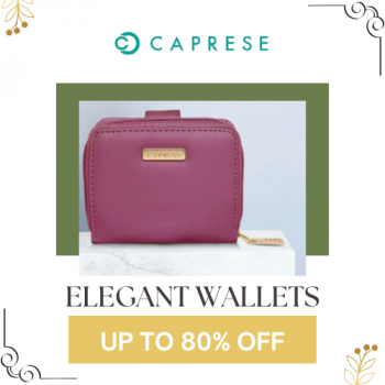Caprese Bags- Get Up To 80% Off on Wallets