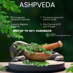 shop and earn 60% cashback