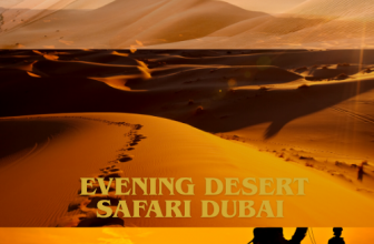 Raynatours- Flat 18% Off On Evening Desert Safari Dubai