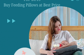 TOP BUYS Buy Feeding Pillows at Best Price