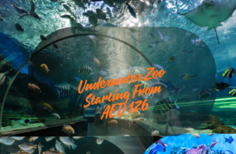 Raynatours- Flat 25% Off + Extra 16% Off On Aquarium,