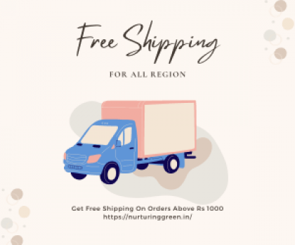 Nurturing green-FREE SHIPPING Get Free Shipping On Orders Above Rs 1000