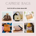 Deal Alert: Flat 5% OFF on RS 500 or more! caprese bags price