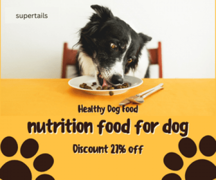 Nutrition food for Dog