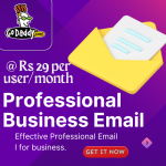 GoDaddy Professional Business Email @ Rs 29 per user/month