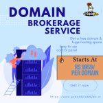 GoDaddy Domain Brokerage Service - Starts At Rs 9959/Per Domain