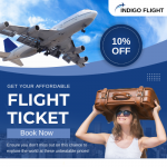 Indigo flight offer ✈️ 10% OFF Now!