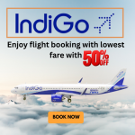 IndiGo flights offer festive discounts