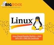 Bigrock Linux Shared Reseller Hosting – Upto 50% Off + FREE SSL Certificate