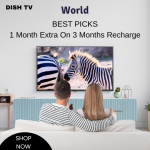 dish TV-BEST PICKS  1 Month Extra On 3 Months Recharge
