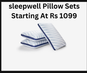 Pillow Sets Starting At Rs 1099