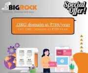 .ORG domain at ₹759/year