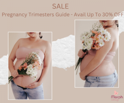 SALE Pregnancy Trimesters Guide - Avail Up To 30% OFF