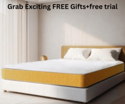 Special Festive Offer - Grab Exciting FREE Gifts +FREE Trials