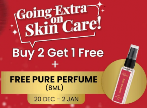 Cristmas day sale buy 2 get 1 free