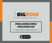 Bigrock Special Business Bundle Offer STARTER Plan