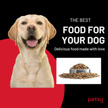 Extra 10% Off on First Order above ₹1,799