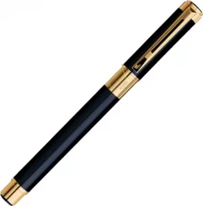 Waterman Perspective Fountain Pen in India