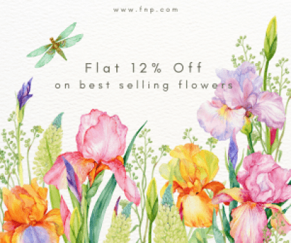 FNP Flat 12% off on best selling flowers