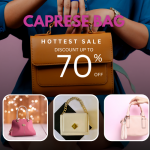 Hottest Sale | FLAT 70% OFF on all Caprese Bags ! Caprese coupon code